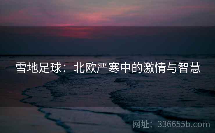 雪地足球:北欧严寒中的激情与智慧 雪地足球:北欧严寒中的激情与智慧