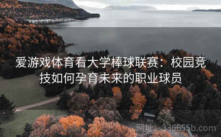 爱游戏体育看大学棒球联赛:校园竞技如何孕育未来的职业球员 爱游戏体育看大学棒球联赛:校园竞技如何孕育未来的职业球员