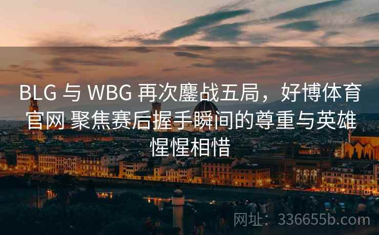 BLG 与 WBG 再次鏖战五局，好博体育官网 聚焦赛后握手瞬间的尊重与英雄惺惺相惜